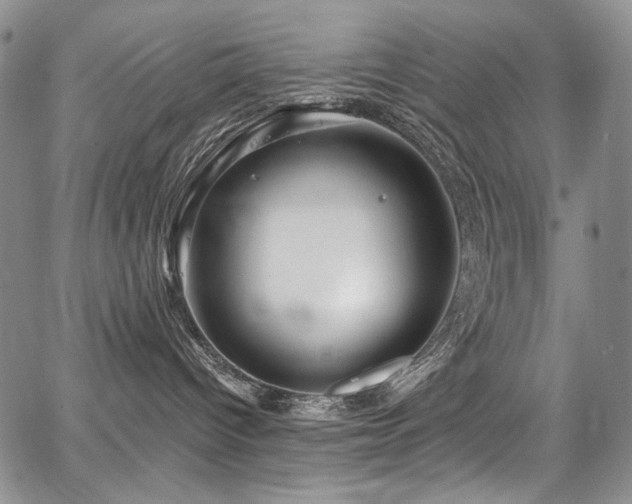 X0000067920096200604131419
