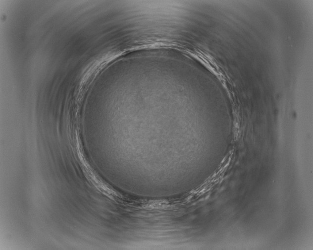 X0000067920097200604131419