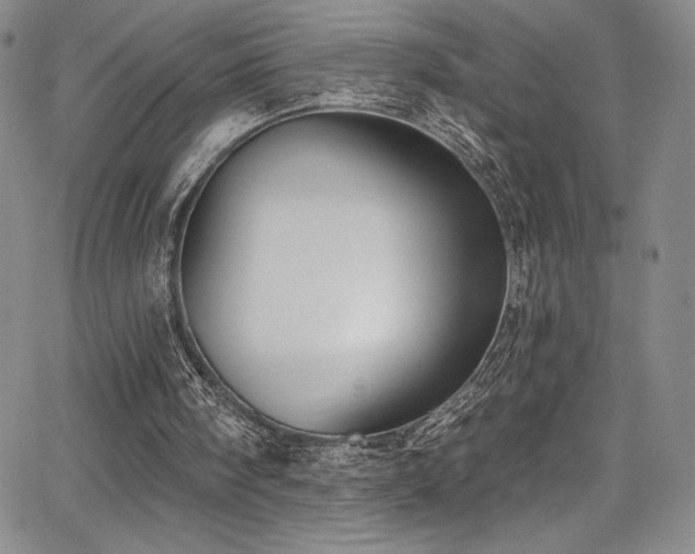 X0000067920098200604131419