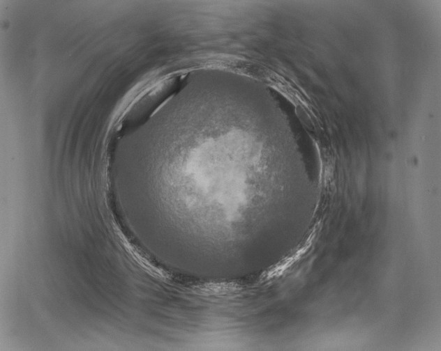 X0000067920101200604131419