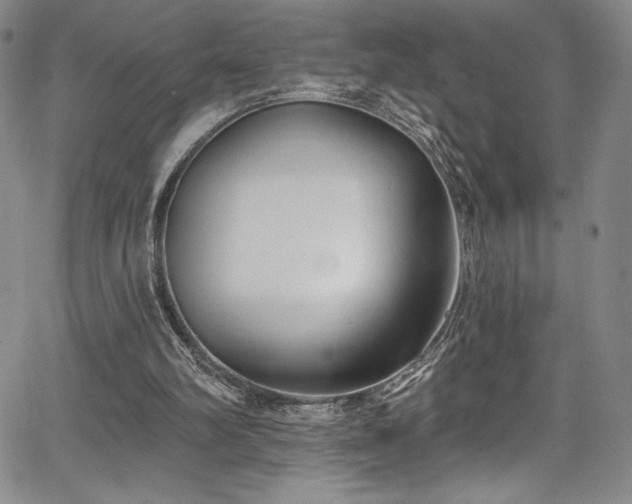X0000067920102200604131419
