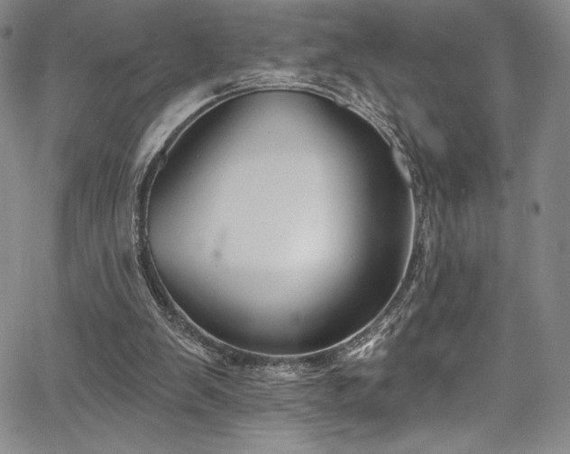X0000067920103200604131419