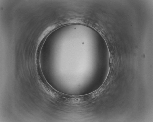 X0000067920104200604131419