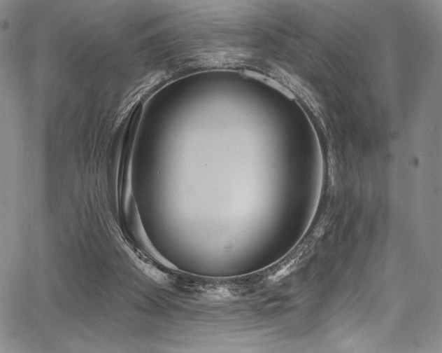 X0000067920105200604131419