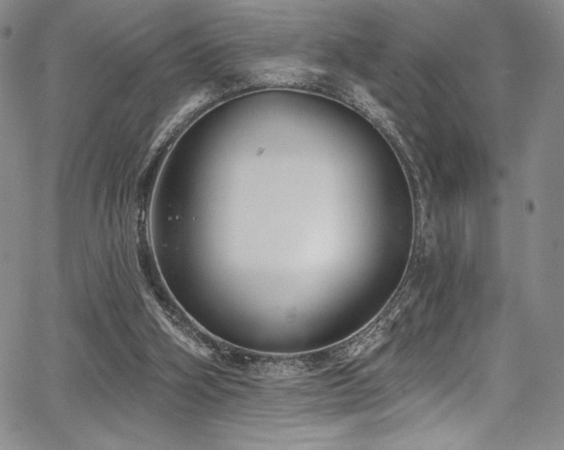 X0000067920106200604131419