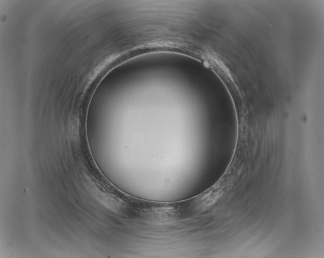 X0000067920108200604131419