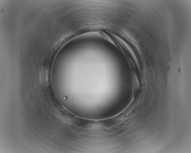 X0000067920115200604131418