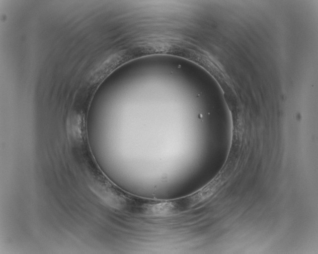 X0000067920122200604131418