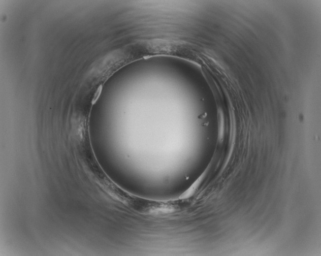 X0000067920125200604131418
