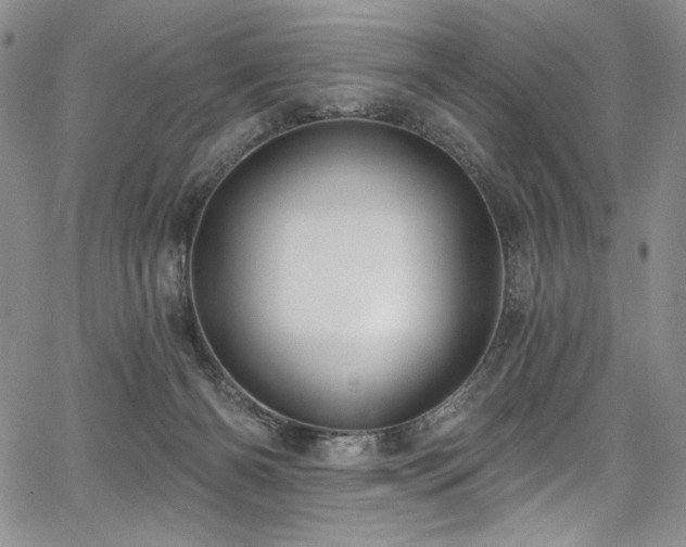 X0000067920126200604131418