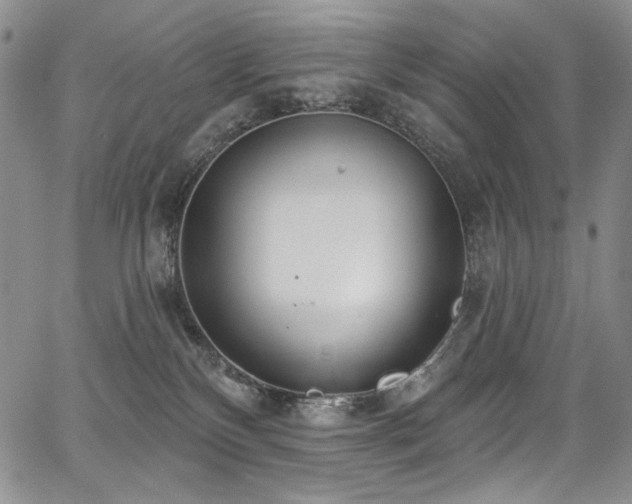 X0000067920136200604131418