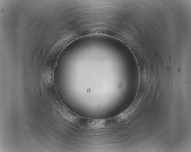 X0000067920138200604131418