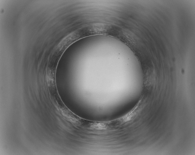 X0000067920140200604131418