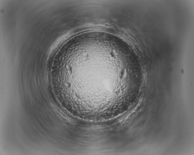 X0000067920149200604131417
