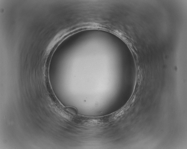 X0000067920151200604131417