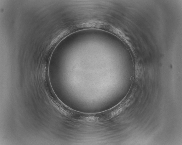 X0000067920153200604131417