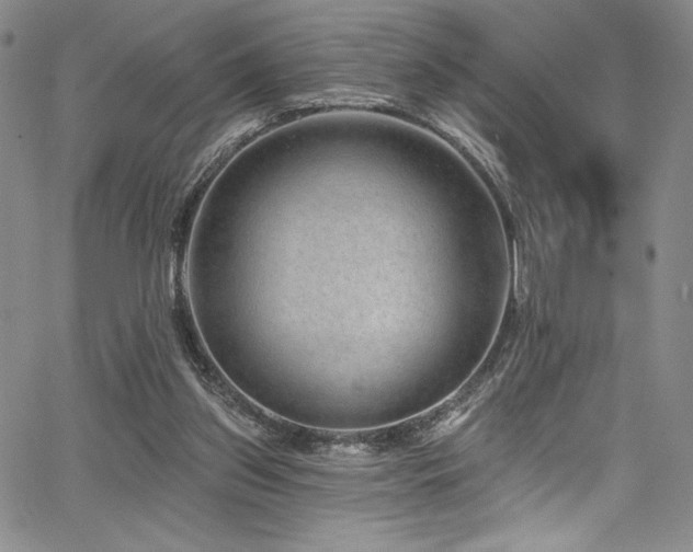 X0000067920157200604131417