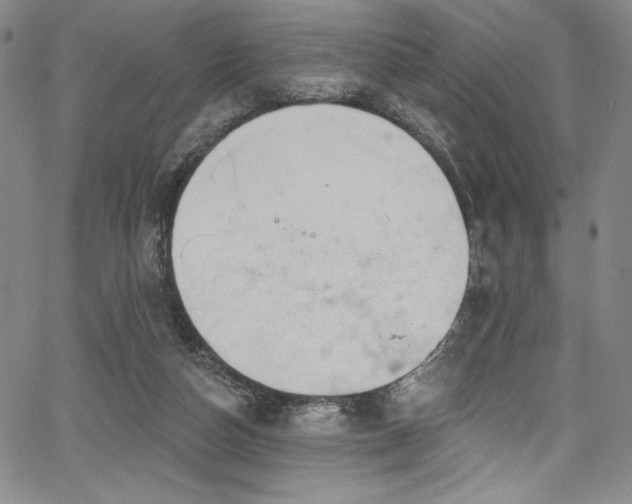 X0000067920162200604131417