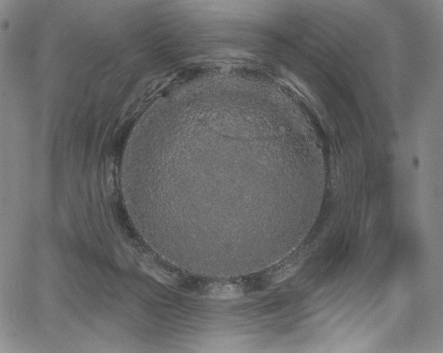 X0000067920169200604131418
