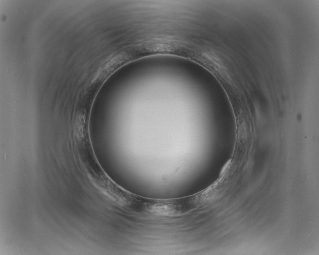 X0000067920171200604131418