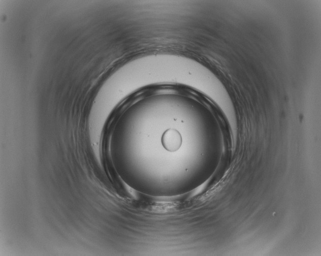 X0000067920172200604131418