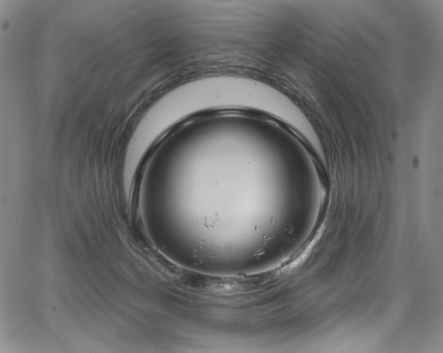 X0000067920174200604131418