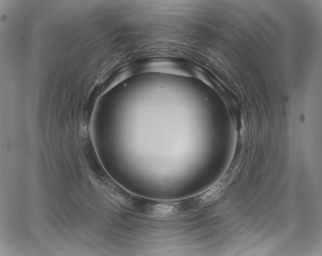 X0000067920176200604131418