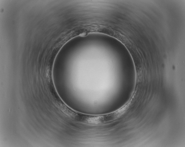 X0000067920178200604131418