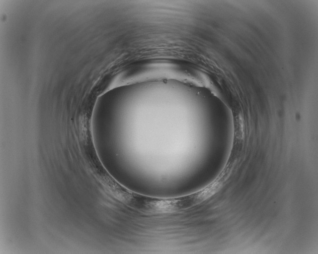 X0000067920184200604131418