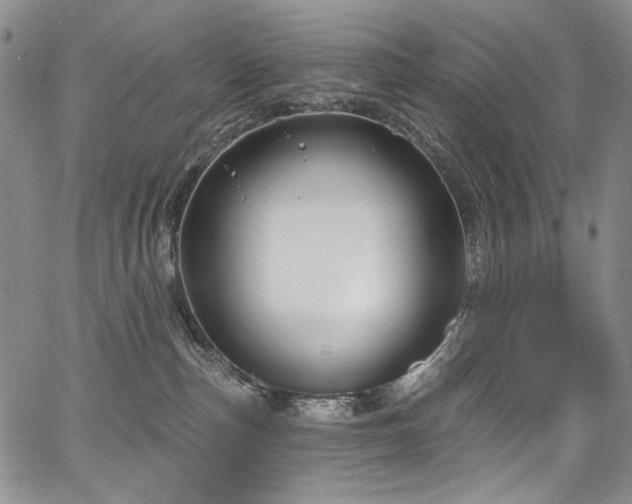 X0000067920187200604131418