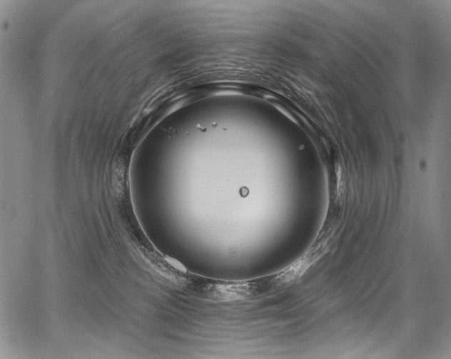 X0000067920188200604131418