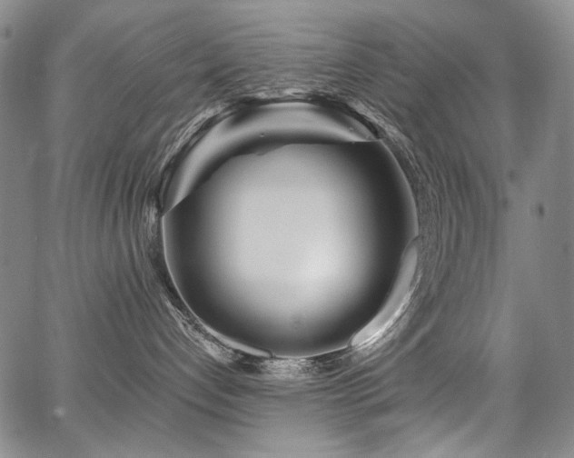 X0000067920192200604131418