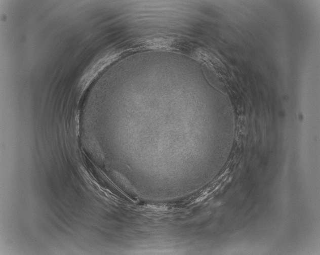 X0000067920194200604131417