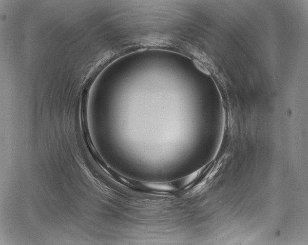 X0000067920201200604131417