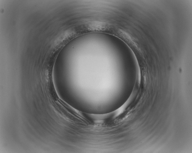X0000067920211200604131417