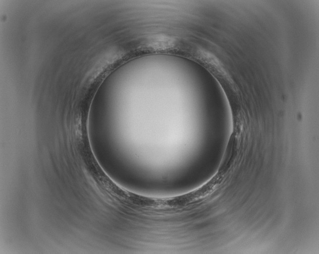 X0000067920212200604131417