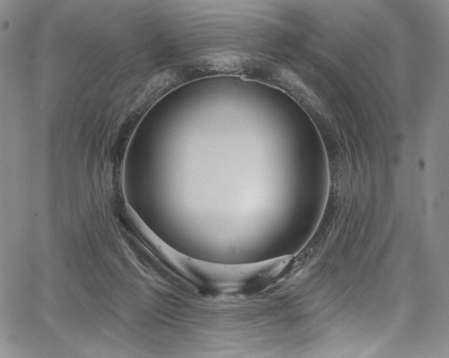 X0000067920213200604131417