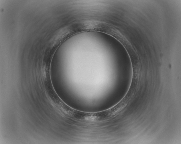 X0000067920216200604131417