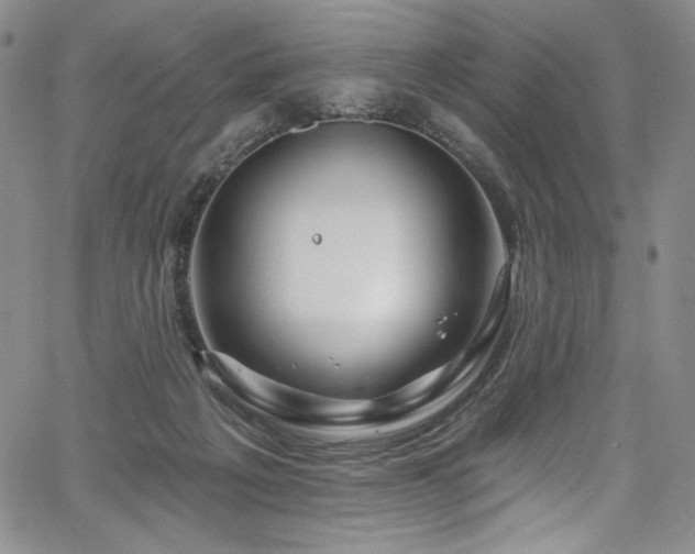 X0000067920217200604131417