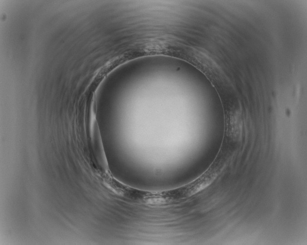 X0000067920228200604131417