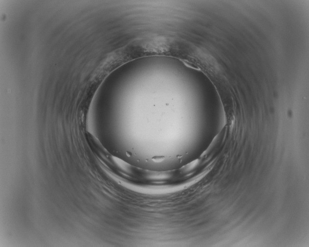 X0000067920229200604131417