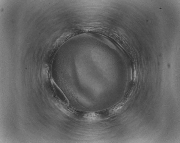 X0000067920231200604131416