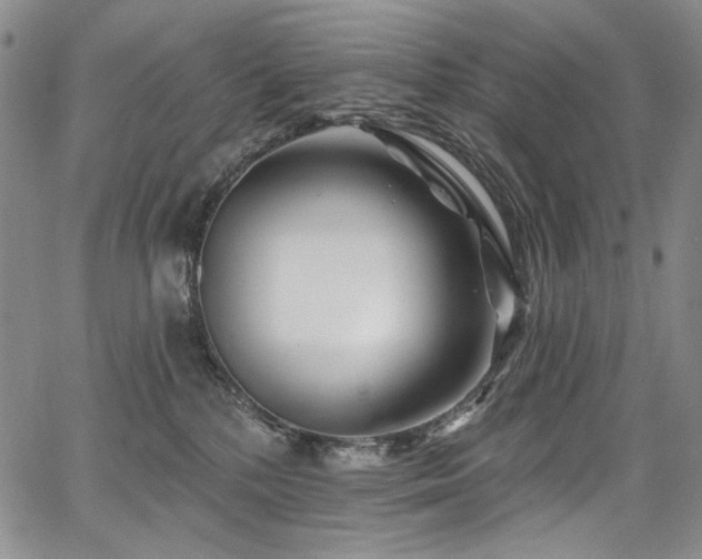 X0000067920232200604131416