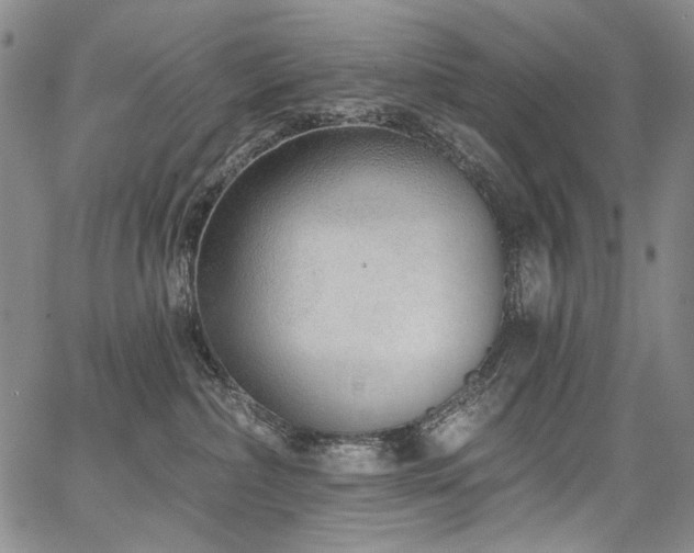 X0000067920236200604131416