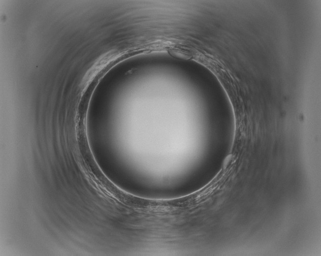 X0000067920242200604131416