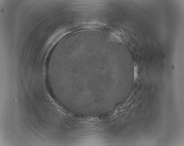 X0000067920243200604131416