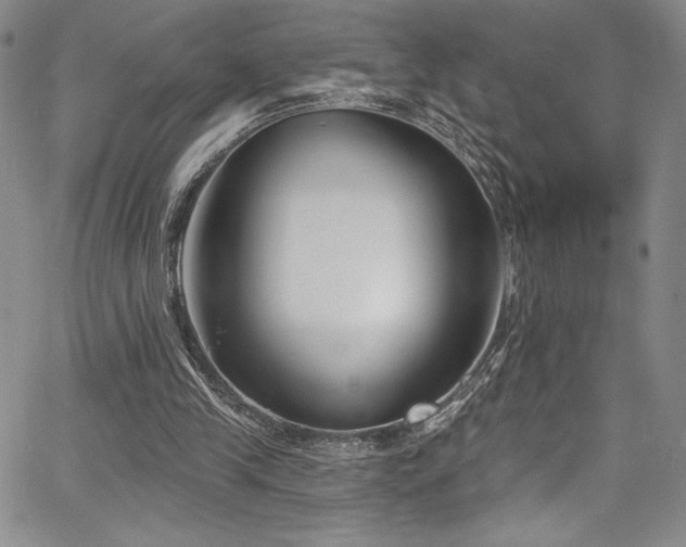 X0000067920245200604131416