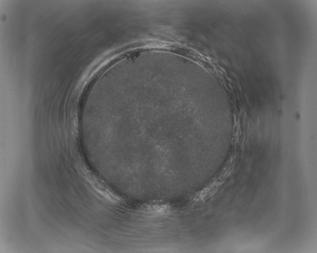 X0000067920247200604131416
