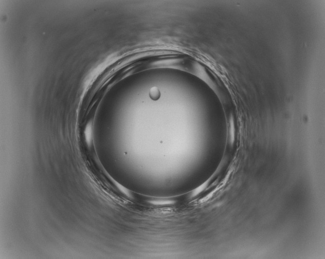 X0000067920248200604131416