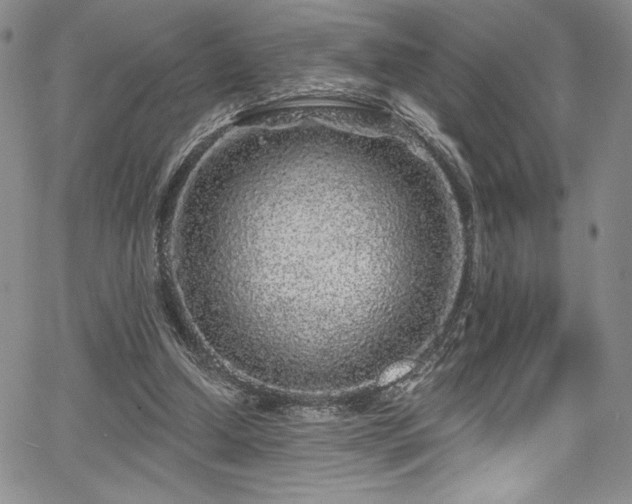X0000067920250200604131416